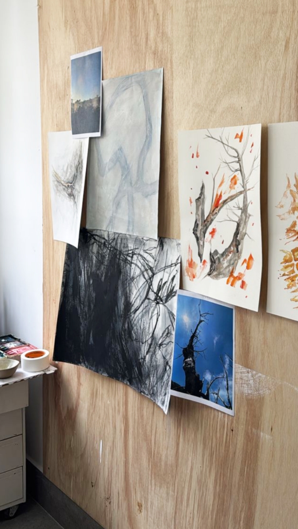 donatelli-colecao-cerrado1-2