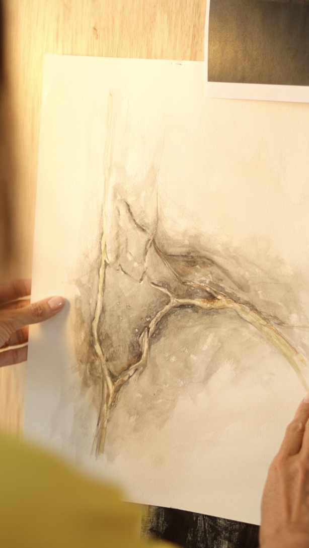 donatelli-colecao-cerrado_1-3