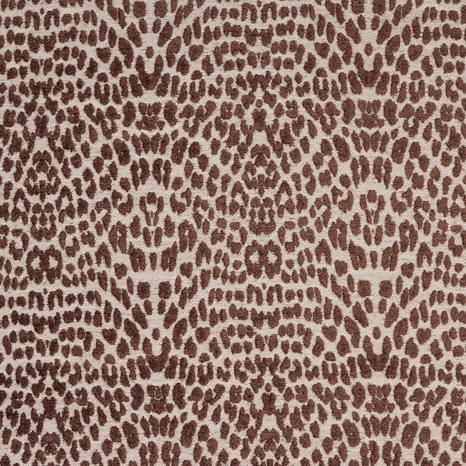Calangute Jacquard