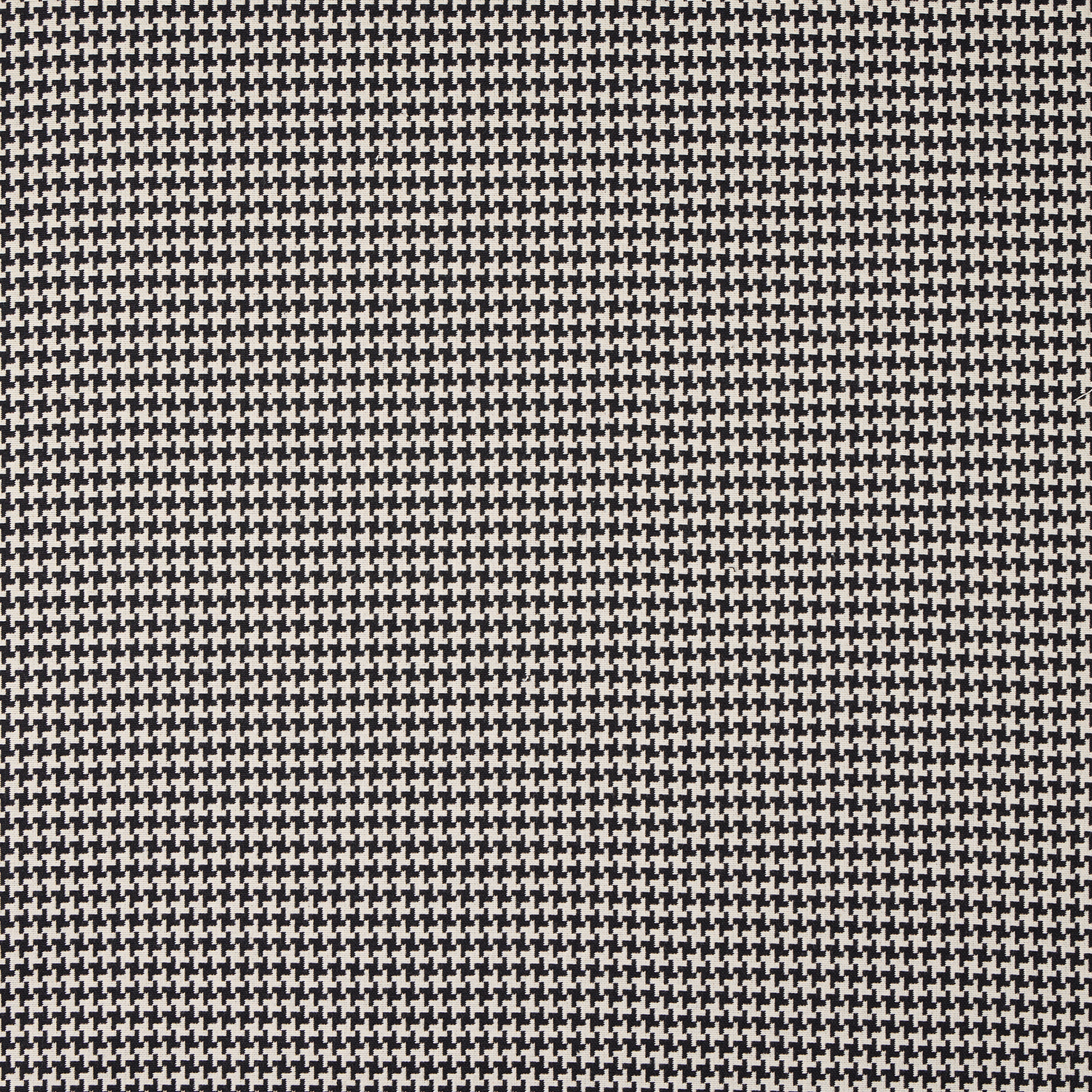 Pied Cotton Dupla Face